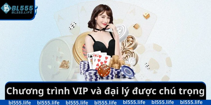 Chương trình VIP và đại lý được chú trọng