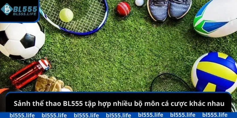 Sảnh thể thao BL555 tập hợp nhiều bộ môn cá cược khác nhau